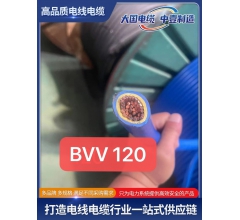 BVV 120平方絕緣阻燃銅芯電線