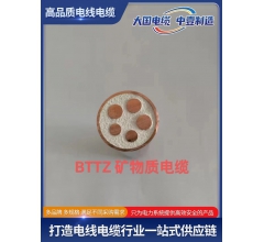 BTTZ 礦物質(zhì)電纜