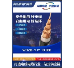 WDZB-YJY 1X300低煙無鹵電纜